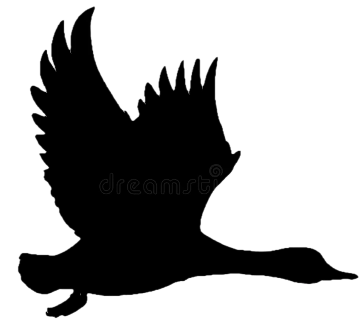 Toneboard. Invest Further Beyond.